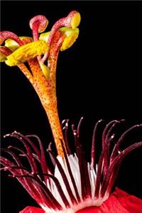 Red Passion Flower Blooming Journal