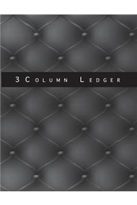 3 Column Ledger