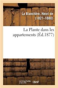 Plante dans les appartements