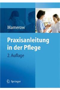 Praxisanleitung in Der Pflege