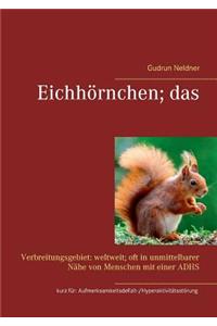Eichhörnchen; das