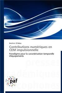 Contributions Numériques En Cem Impulsionnelle