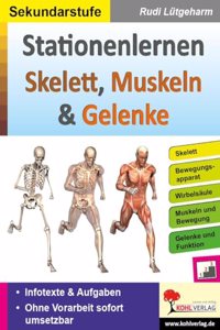 Stationenlernen Skelette, Muskeln & Gelenke: Ubersichtliche Aufgabenkarten fur die Sekundarstufe