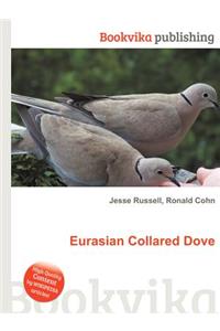 Eurasian Collared Dove