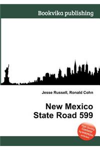 New Mexico State Road 599