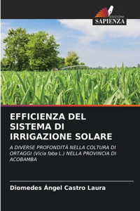 Efficienza del Sistema Di Irrigazione Solare