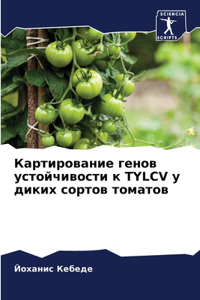 Картирование генов устойчивости к TYLCV у дики