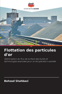 Flottation des particules d'or