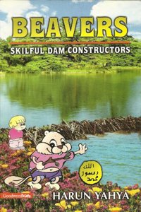 Beavers: Skilful Dam Constructors