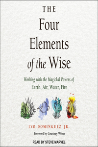 Four Elements of the Wise Lib/E