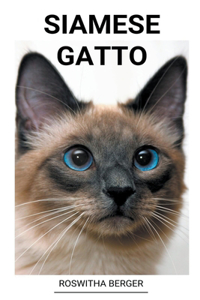 Siamese Gatto