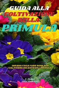 Guida alla Coltivazione della Primula