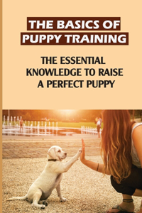 Basics Of Puppy Training