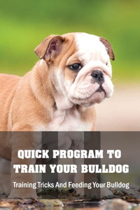 Quick Program To Train Your Bulldog