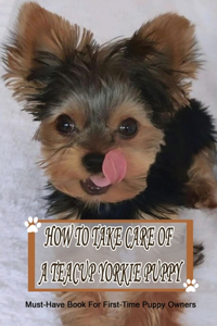 How To Take Care Of A Teacup Yorkie Puppy