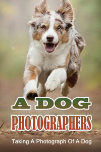 A Dog Photographers