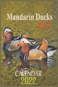 Just Mandarin Ducks Calendar 2022