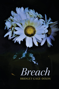 Breach
