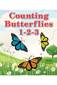 Counting Butterflies 1-2-3