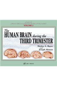 The Human Brain During the Third Trimester