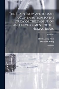 Brain From ape to man; a Contribution to the Study of the Evolution and Development of the Human Brain