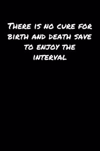 There Is No Cure For Birth and Death Save To Enjoy The Interval