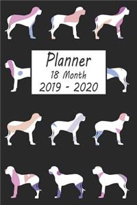 Planner 18 Month 2019 - 2020