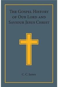 Gospel History of Our Lord and Saviour Jesus Christ
