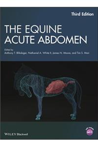 Equine Acute Abdomen