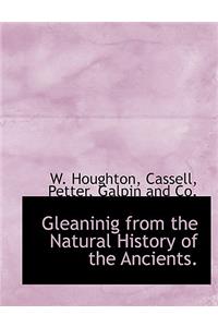 Gleaninig from the Natural History of the Ancients.