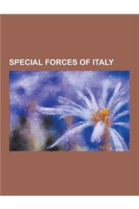 Special Forces of Italy: 17 Stormo Incursori, 26th Special Operations Helicopter Unit, 4th Alpini Parachutist Regiment, 9th Parachute Assault R