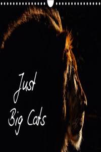 Just Big Cats 2017
