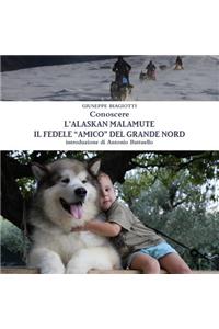 Conoscere l'Alaskan Malamute - Il fedele amico del Grande Nord