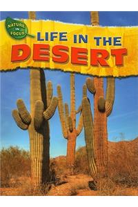 Life in the Desert