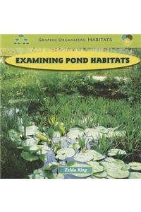 Examining Pond Habitats