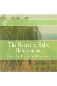 Secret of Salix Babylonicus