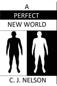 A Perfect New World: Image a World Without Religion