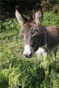Look at the Sweet Little Donkey Portrait Animal Journal