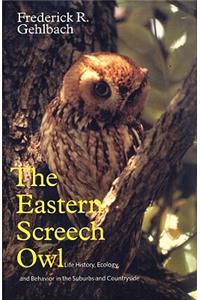 Eastern Screech Owl