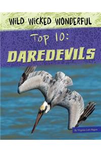 Daredevils