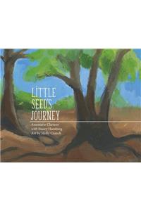 Little Seed's Journey