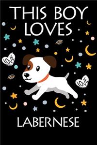 This Boy Loves Labernese Notebook