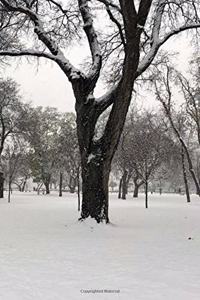Winter Wonderland