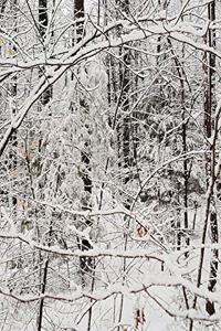 2020 Daily Planner Winter Season After Snowstorm 388 Pages