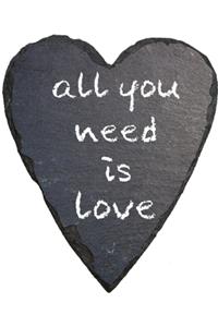 All you need is love notebook - achieve your goals, perfect 120 lined pages #1