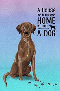 A House is Not a Home Without a Dog