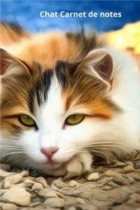 Chat Carnet de notes