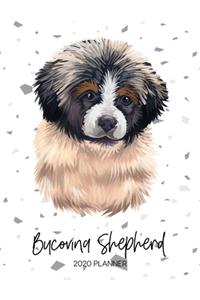 Bucovina Shepherd 2020 Planner: Dated Weekly Diary With To Do Notes & Dog Quotes