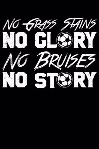 No Grass Stains No Glory No Bruises No Story