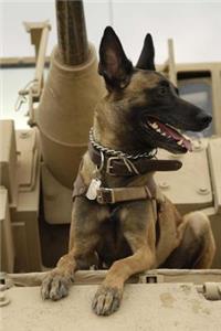 Belgian Shepherd Dog Malinois on an American Tank Journal